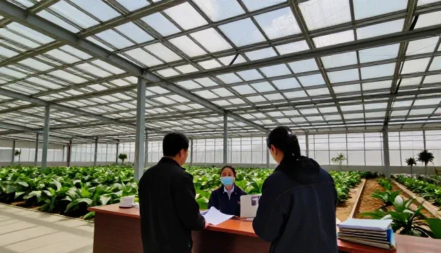 农业智能化技术的性能表现与适用场景分析